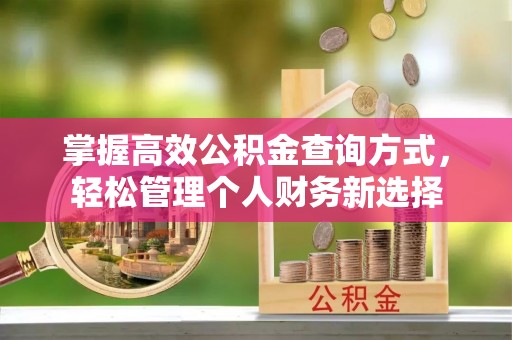 淮阳掌握高效公积金查询方式，轻松管理个人财务新选择