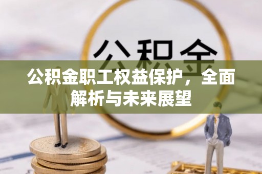 淮阳公积金职工权益保护，全面解析与未来展望