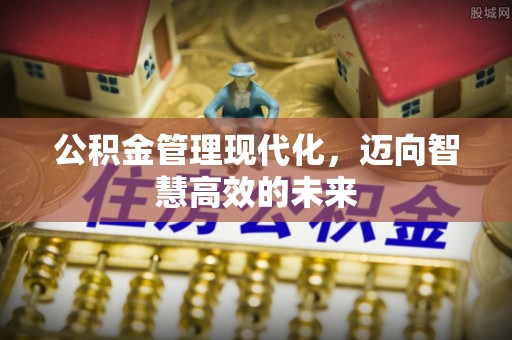 淮阳公积金管理现代化，迈向智慧高效的未来