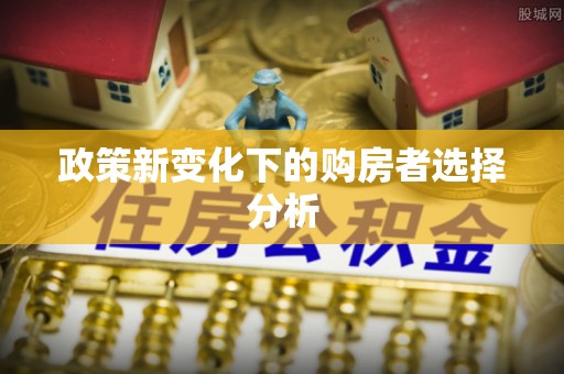 淮阳政策新变化下的购房者选择分析