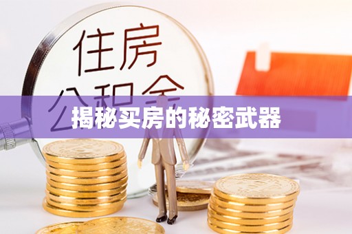 淮阳揭秘买房的秘密武器