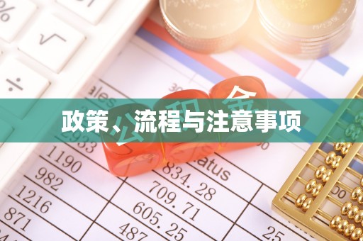 淮阳政策、流程与注意事项