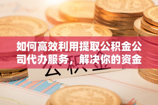 淮阳如何高效利用提取公积金公司代办服务，解决你的资金难题