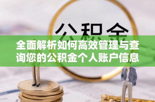 淮阳全面解析如何高效管理与查询您的公积金个人账户信息