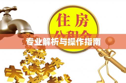 淮阳专业解析与操作指南