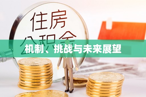 淮阳机制、挑战与未来展望